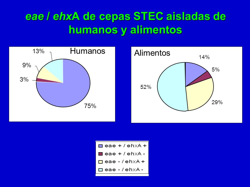 eae / ehxA de cepas STEC aisladas de humanos y alimentos
