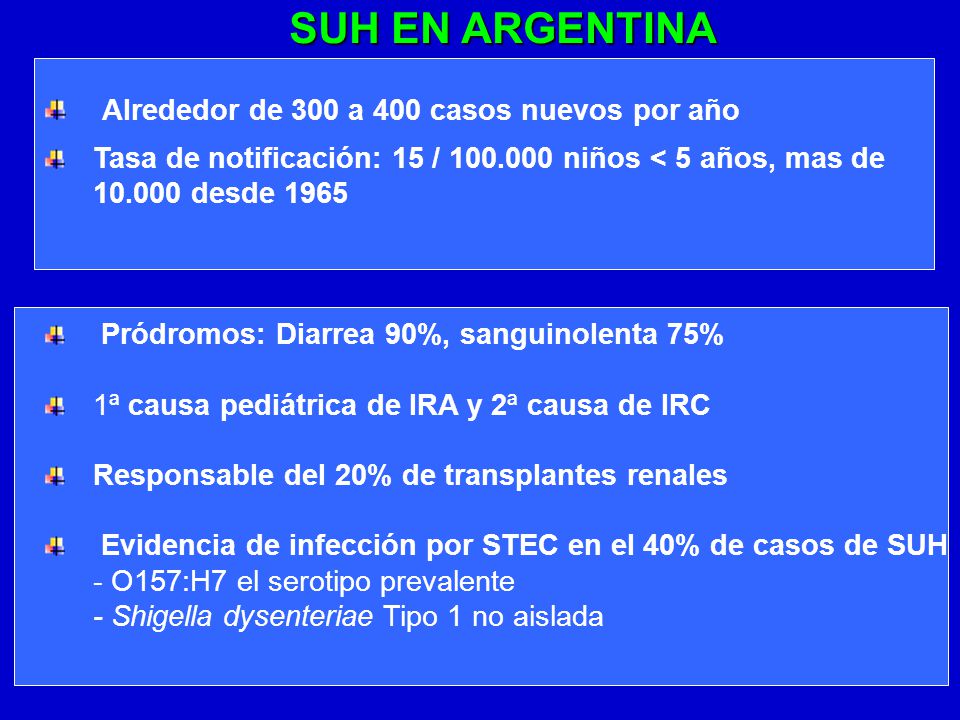 SUH EN ARGENTINA Alrededor de 300 a 400 casos nuevos por año