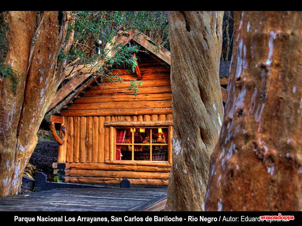 Parque Nacional Los Arrayanes, San Carlos de Bariloche - Río Negro / Autor: Eduardo Epifanio