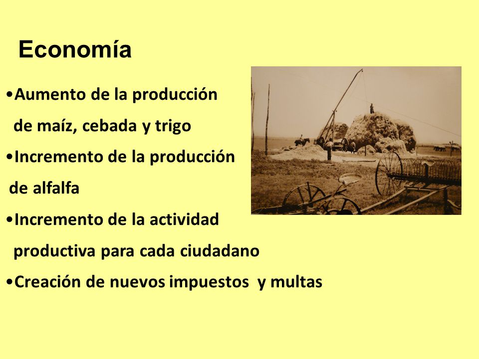 Economía Aumento de la producción de maíz, cebada y trigo