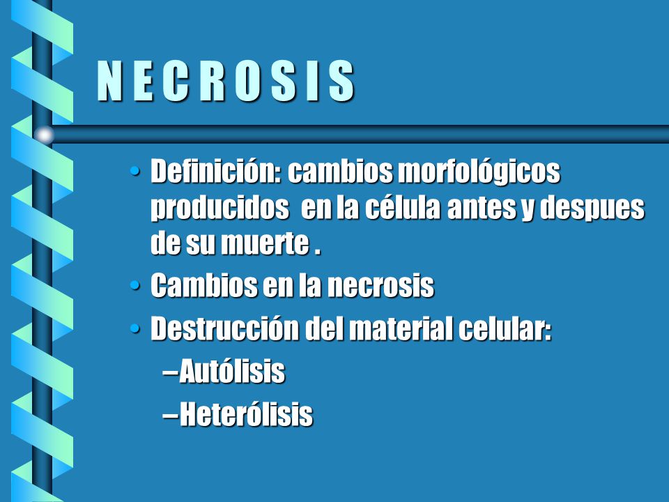 N E C R O S I S Definición: cambios morfológicos producidos en la célula antes y despues de su muerte .