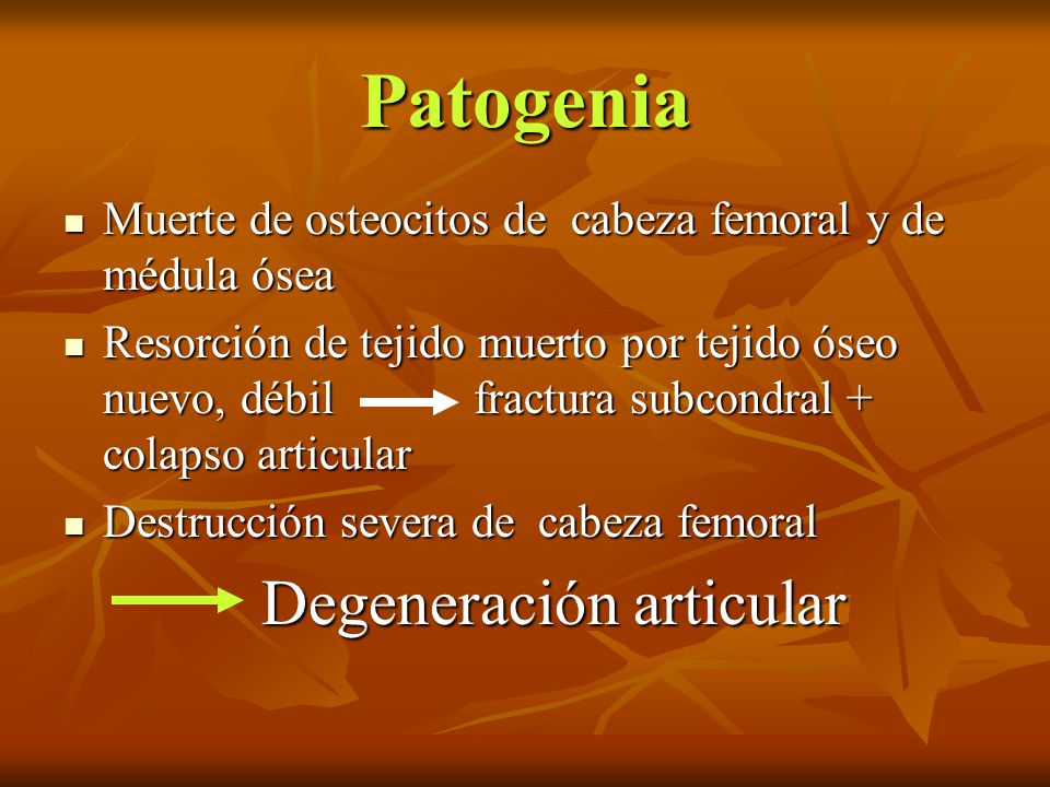 Patogenia Muerte de osteocitos de cabeza femoral y de médula ósea