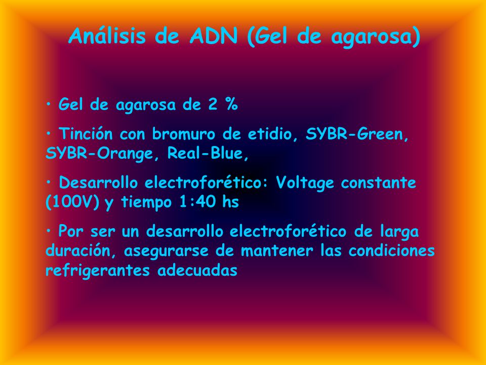 Análisis de ADN (Gel de agarosa)