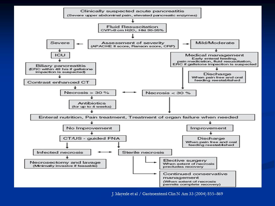 J. Mayerle et al / Gastroenterol Clin N Am 33 (2004) 855–869