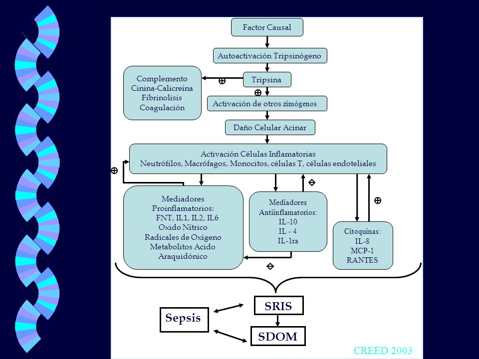 SRIS Sepsis SDOM CREED 2003 Factor Causal Autoactivación Tripsinógeno