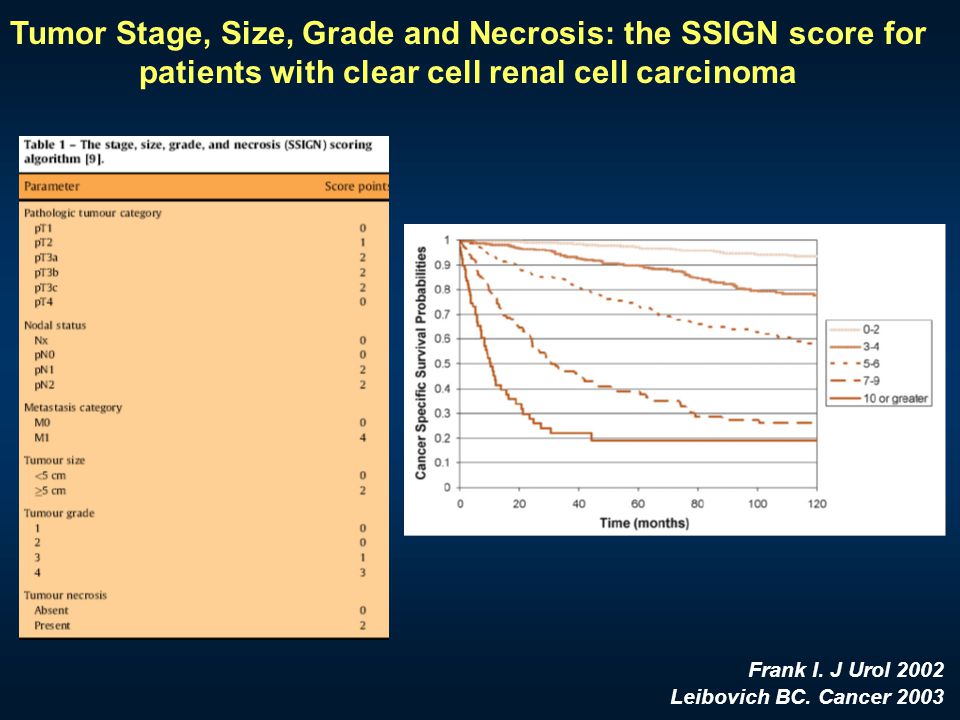 Tumor Stage, Size, Grade and Necrosis: the SSIGN score for patients with clear cell renal cell carcinoma