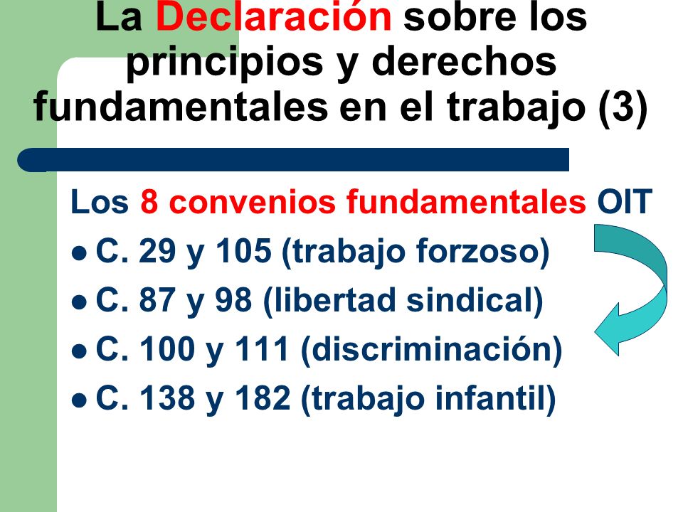 La Declaración sobre los principios y derechos fundamentales en el trabajo (3)