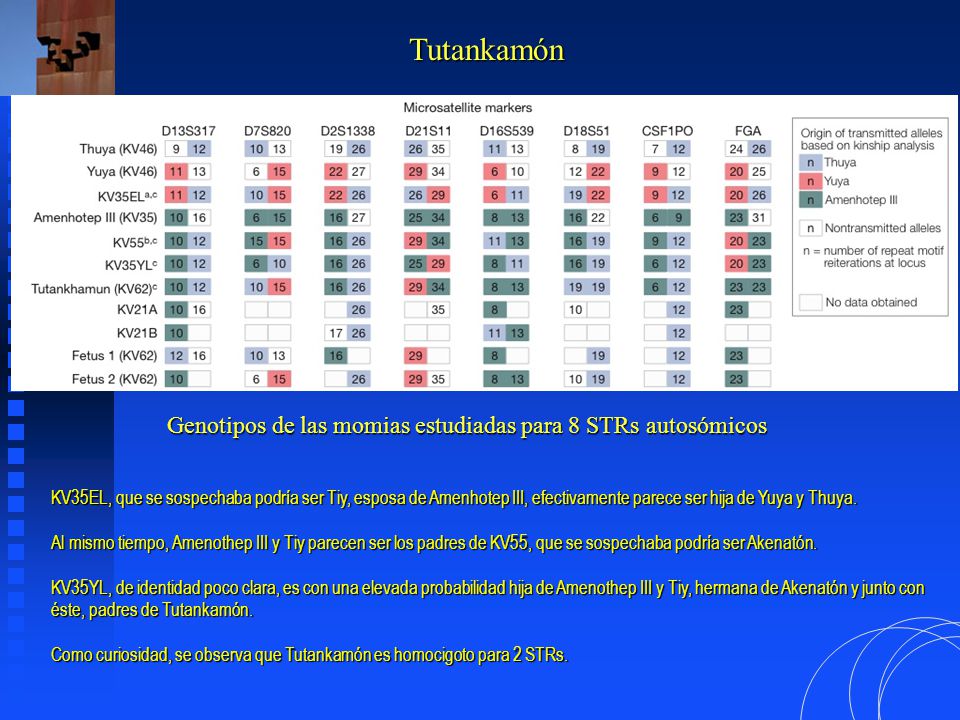 Genotipos de las momias estudiadas para 8 STRs autosómicos