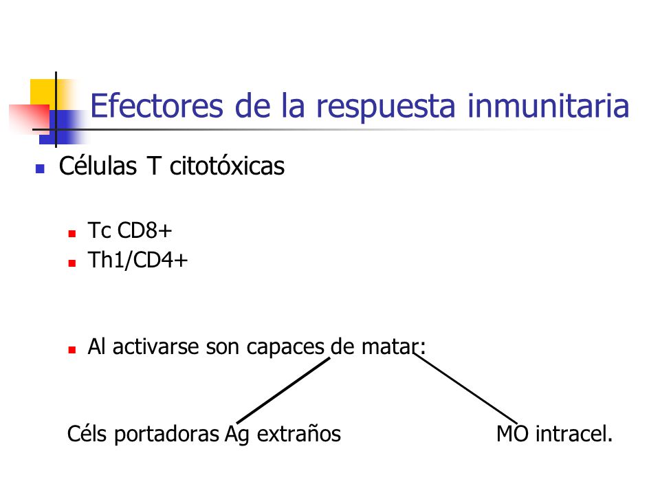 Efectores de la respuesta inmunitaria