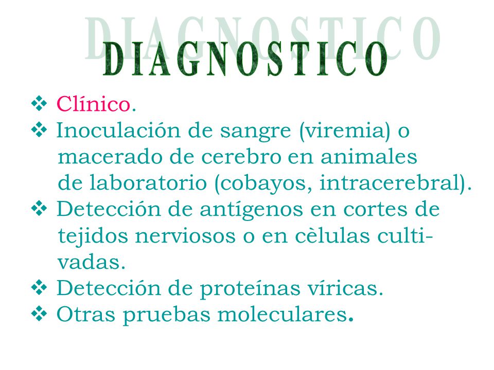 D I A G N O S T I C O Clínico. Inoculación de sangre (viremia) o