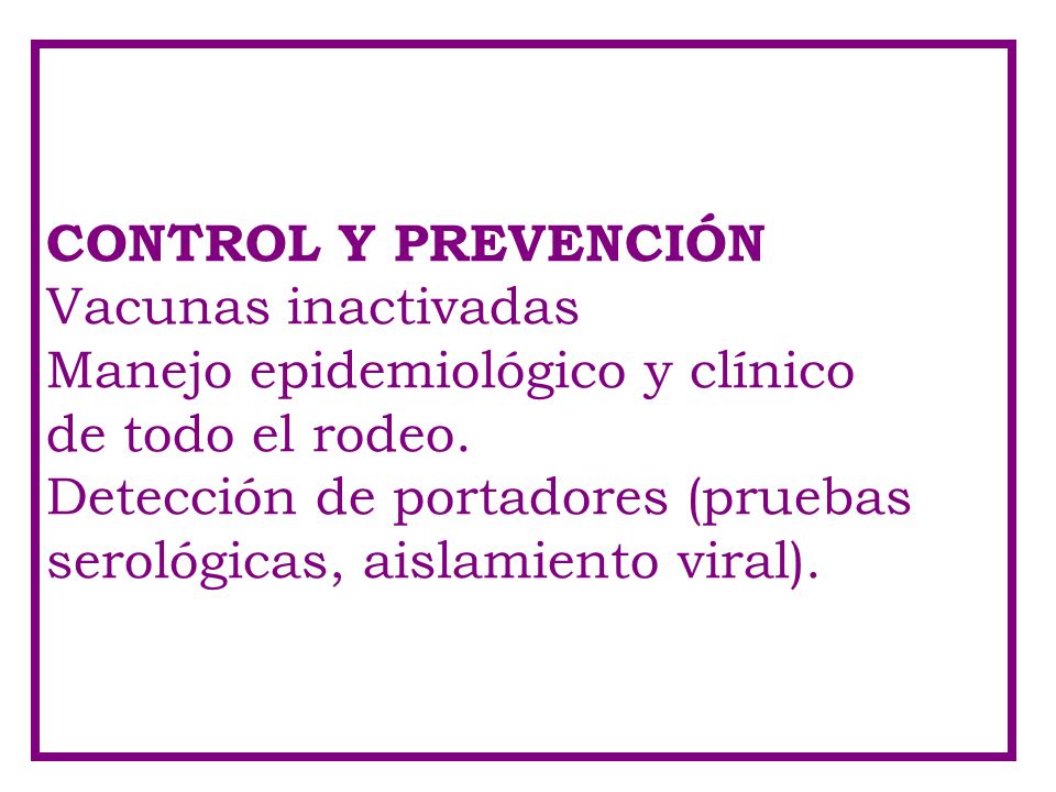 CONTROL Y PREVENCIÓN Vacunas inactivadas. Manejo epidemiológico y clínico. de todo el rodeo. Detección de portadores (pruebas.