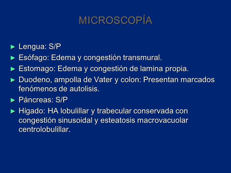 MICROSCOPÍA Lengua: S/P Esófago: Edema y congestión transmural.