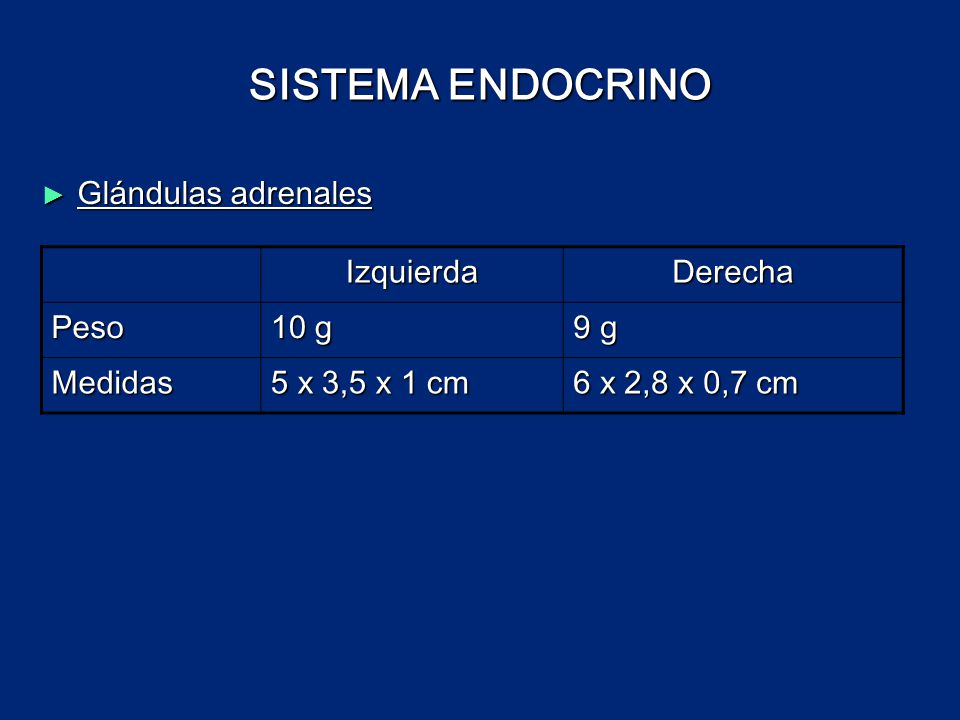 SISTEMA ENDOCRINO Glándulas adrenales Izquierda Derecha Peso 10 g 9 g