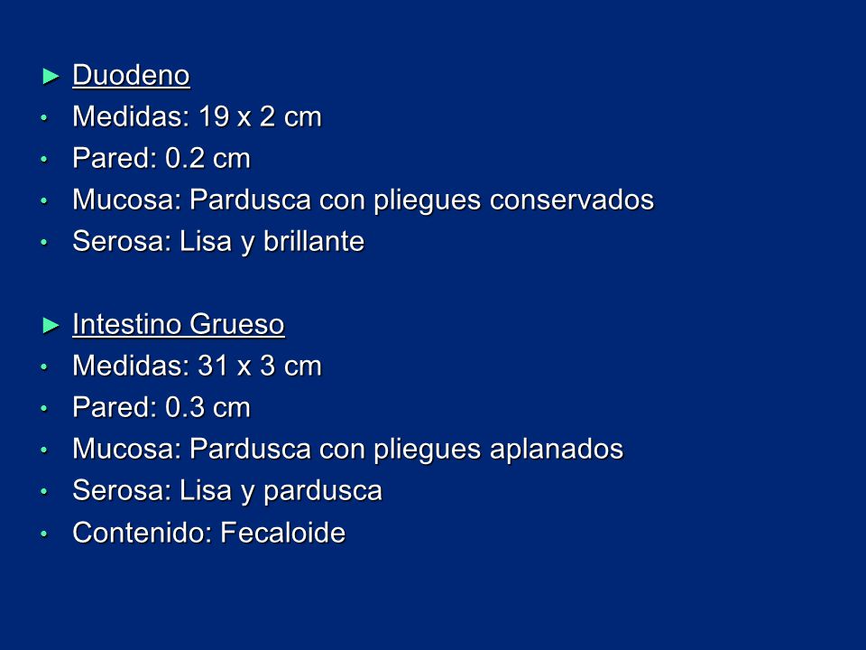Duodeno Medidas: 19 x 2 cm. Pared: 0.2 cm. Mucosa: Pardusca con pliegues conservados. Serosa: Lisa y brillante.