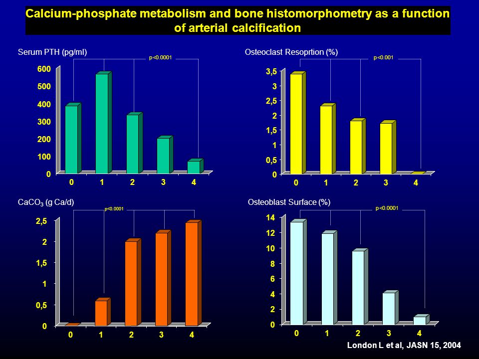 Calcium-phosphate metabolism and bone histomorphometry as a function of arterial calcification