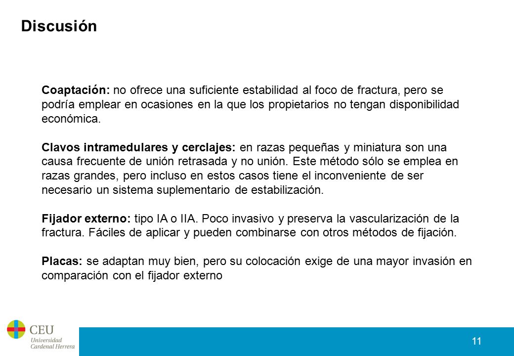 Discusión