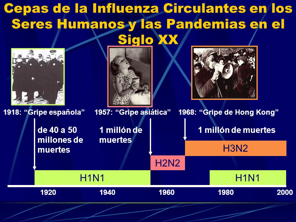 Cepas de la Influenza Circulantes en los Seres Humanos y las Pandemias en el Siglo XX