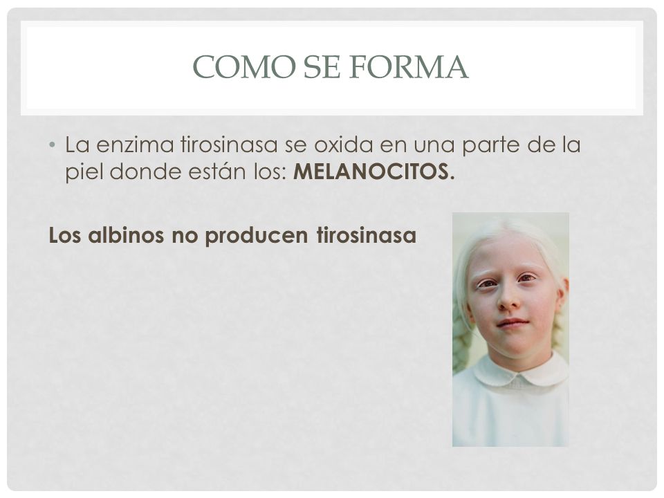 Como se forma La enzima tirosinasa se oxida en una parte de la piel donde están los: MELANOCITOS.