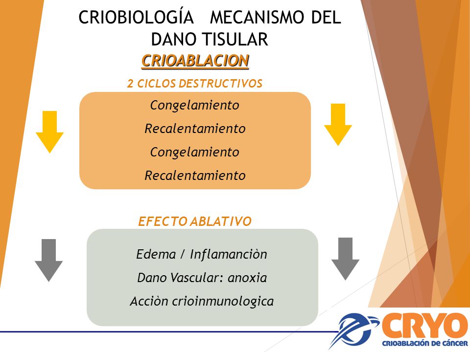 CRIOBIOLOGÍA MECANISMO DEL DANO TISULAR