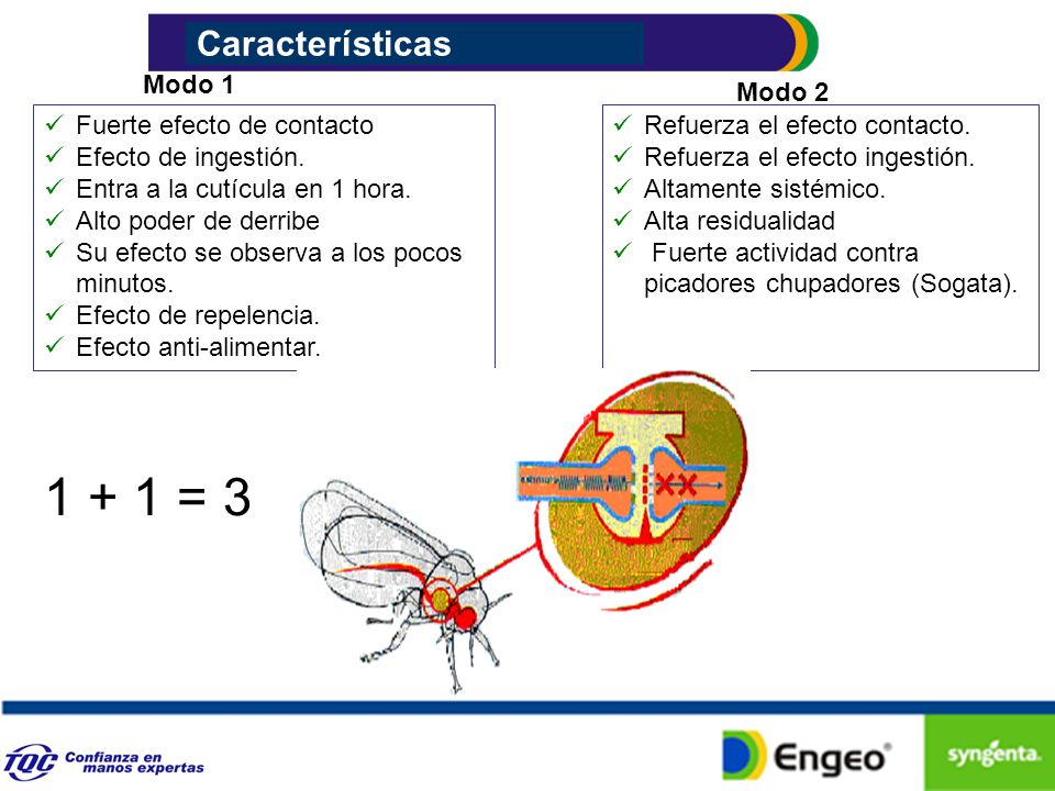 1 + 1 = 3 Características Modo 1 Modo 2 Fuerte efecto de contacto