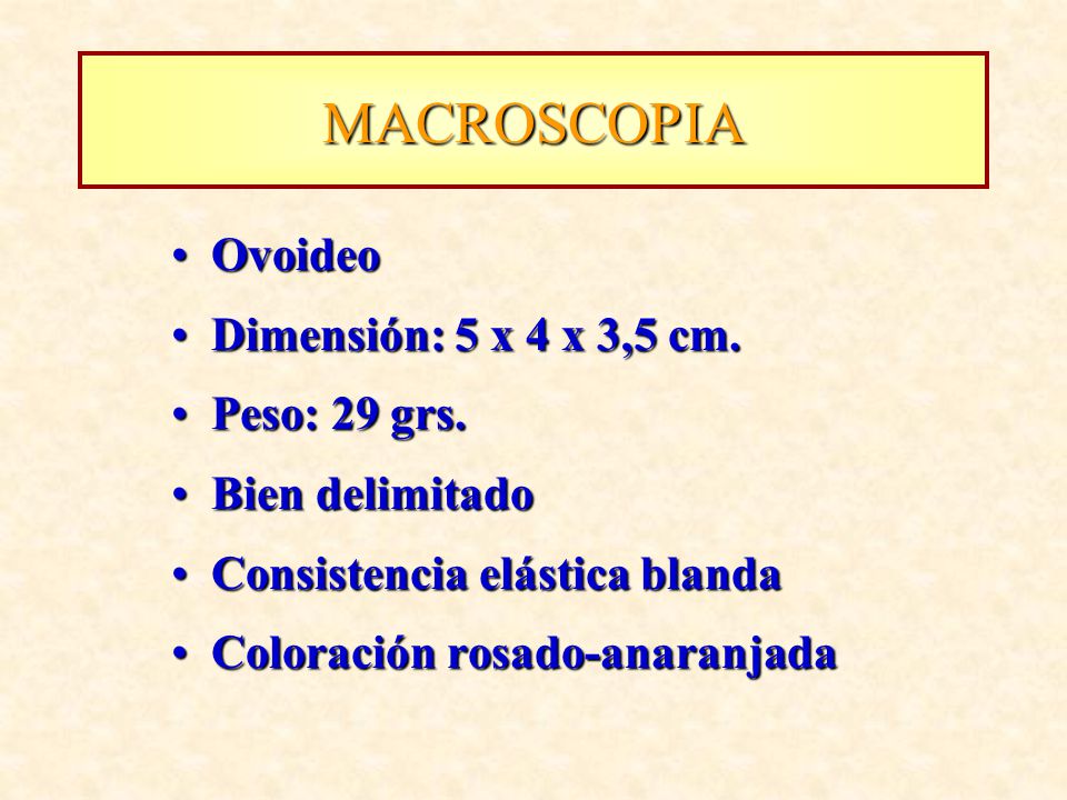 MACROSCOPIA Ovoideo Dimensión: 5 x 4 x 3,5 cm. Peso: 29 grs.