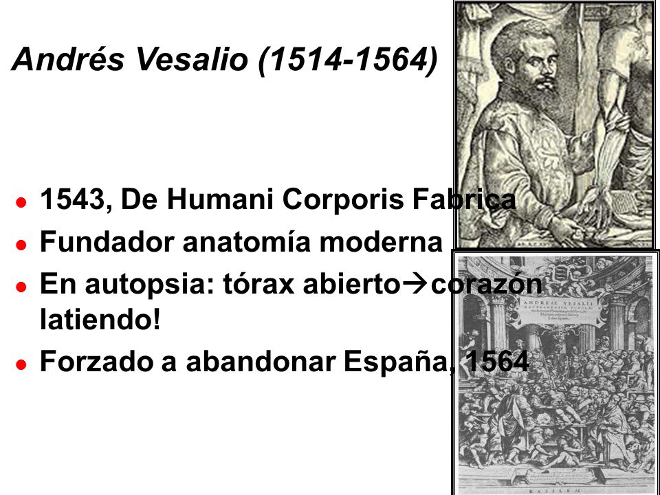 Andrés Vesalio ( ) 1543, De Humani Corporis Fabrica