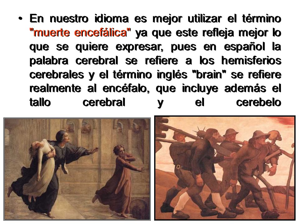 En nuestro idioma es mejor utilizar el término muerte encefálica ya que este refleja mejor lo que se quiere expresar, pues en español la palabra cerebral se refiere a los hemisferios cerebrales y el término inglés brain se refiere realmente al encéfalo, que incluye además el tallo cerebral y el cerebelo
