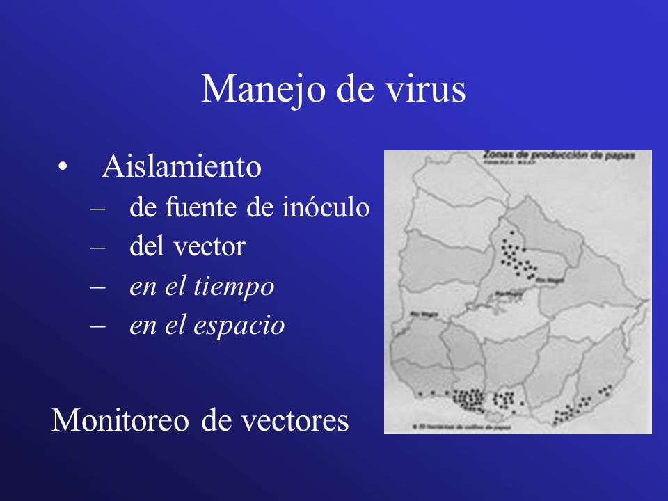 Manejo de virus Aislamiento Monitoreo de vectores de fuente de inóculo