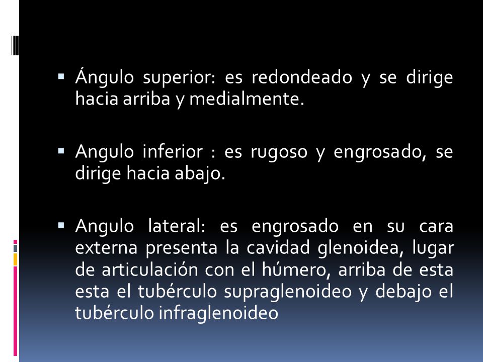 Ángulo superior: es redondeado y se dirige hacia arriba y medialmente.