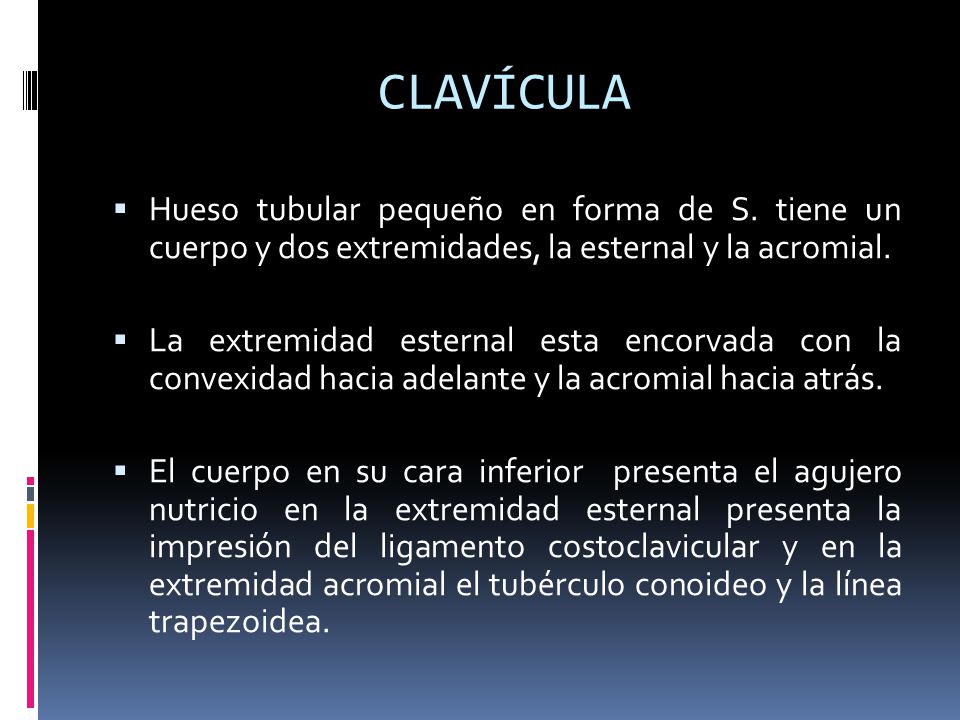 CLAVÍCULA Hueso tubular pequeño en forma de S. tiene un cuerpo y dos extremidades, la esternal y la acromial.