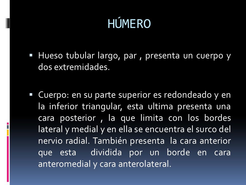 HÚMERO Hueso tubular largo, par , presenta un cuerpo y dos extremidades.