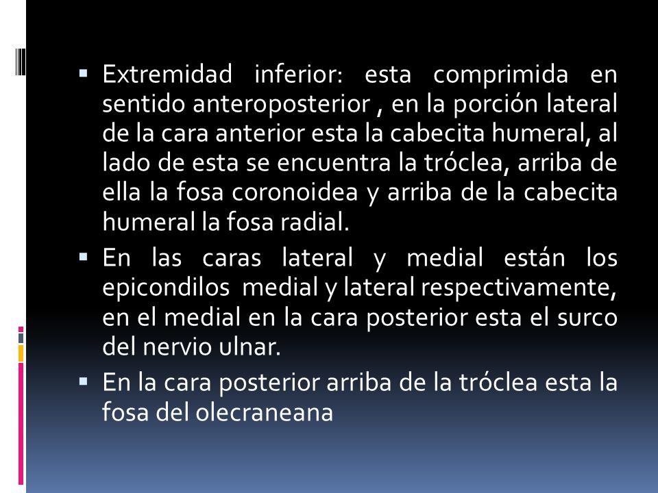 Extremidad inferior: esta comprimida en sentido anteroposterior , en la porción lateral de la cara anterior esta la cabecita humeral, al lado de esta se encuentra la tróclea, arriba de ella la fosa coronoidea y arriba de la cabecita humeral la fosa radial.