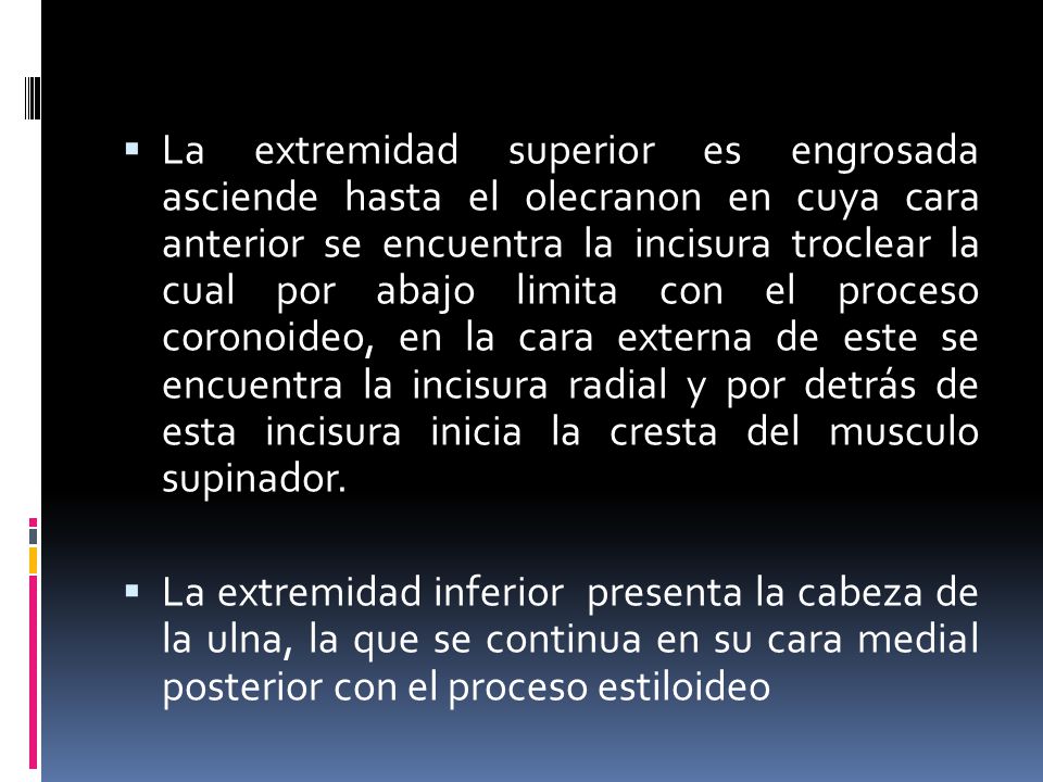 La extremidad superior es engrosada asciende hasta el olecranon en cuya cara anterior se encuentra la incisura troclear la cual por abajo limita con el proceso coronoideo, en la cara externa de este se encuentra la incisura radial y por detrás de esta incisura inicia la cresta del musculo supinador.