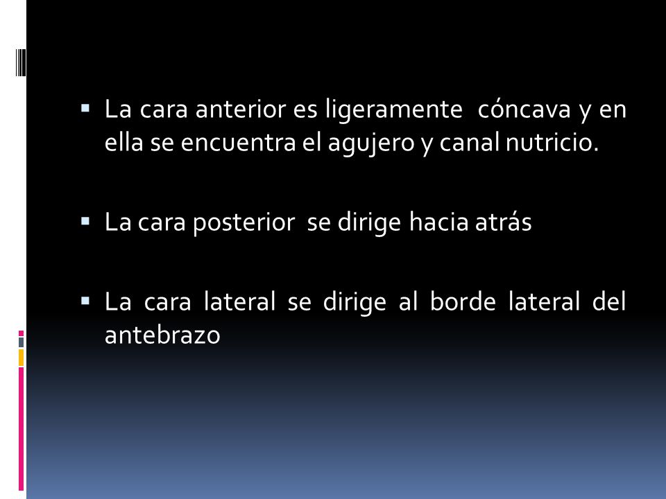 La cara anterior es ligeramente cóncava y en ella se encuentra el agujero y canal nutricio.