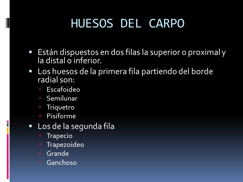 HUESOS DEL CARPO Están dispuestos en dos filas la superior o proximal y la distal o inferior.