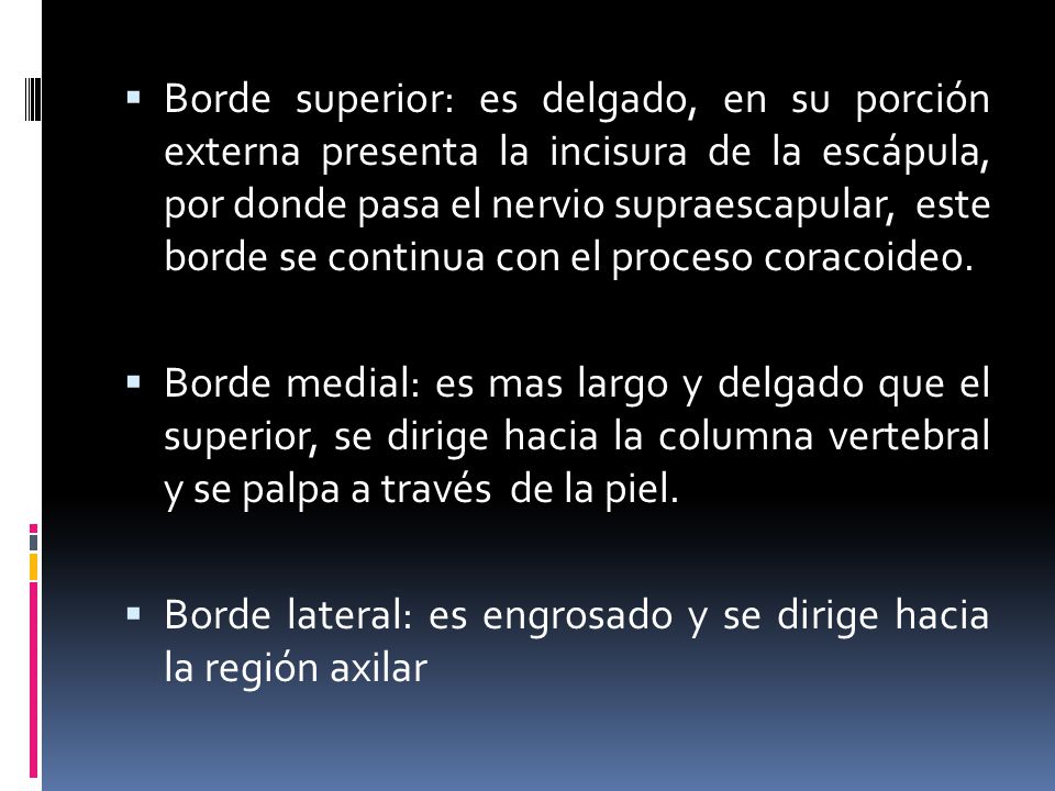 Borde superior: es delgado, en su porción externa presenta la incisura de la escápula, por donde pasa el nervio supraescapular, este borde se continua con el proceso coracoideo.