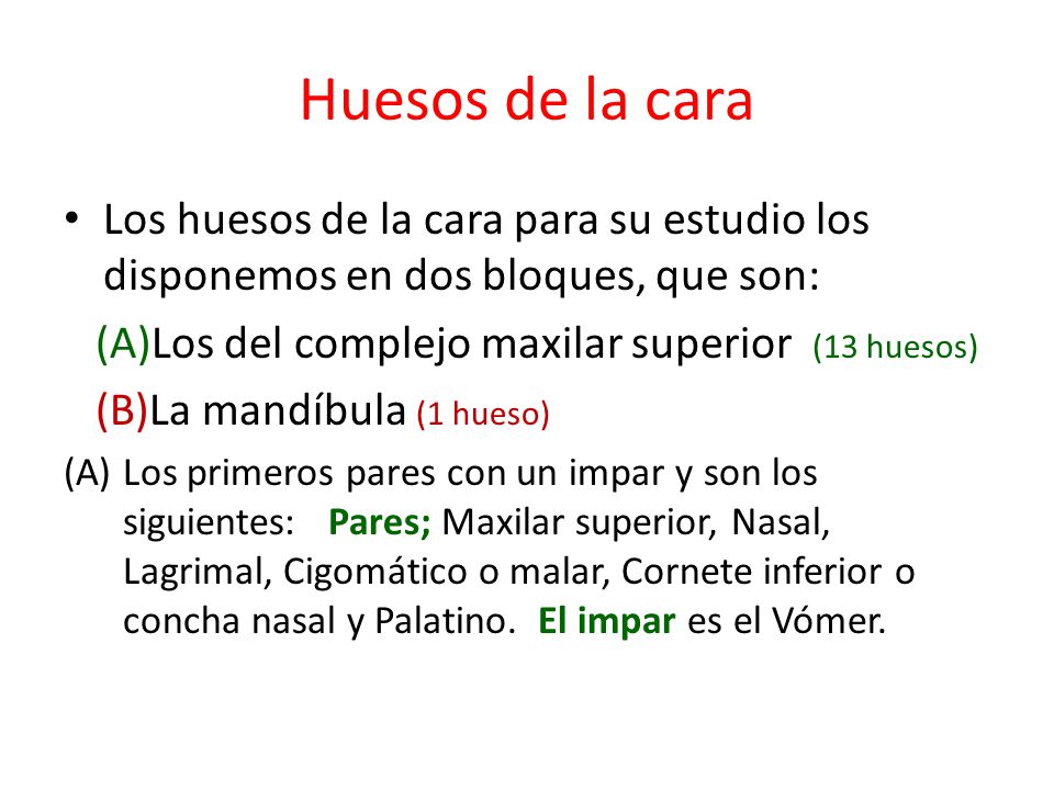 Huesos de la cara Los huesos de la cara para su estudio los disponemos en dos bloques, que son: (A)Los del complejo maxilar superior (13 huesos)