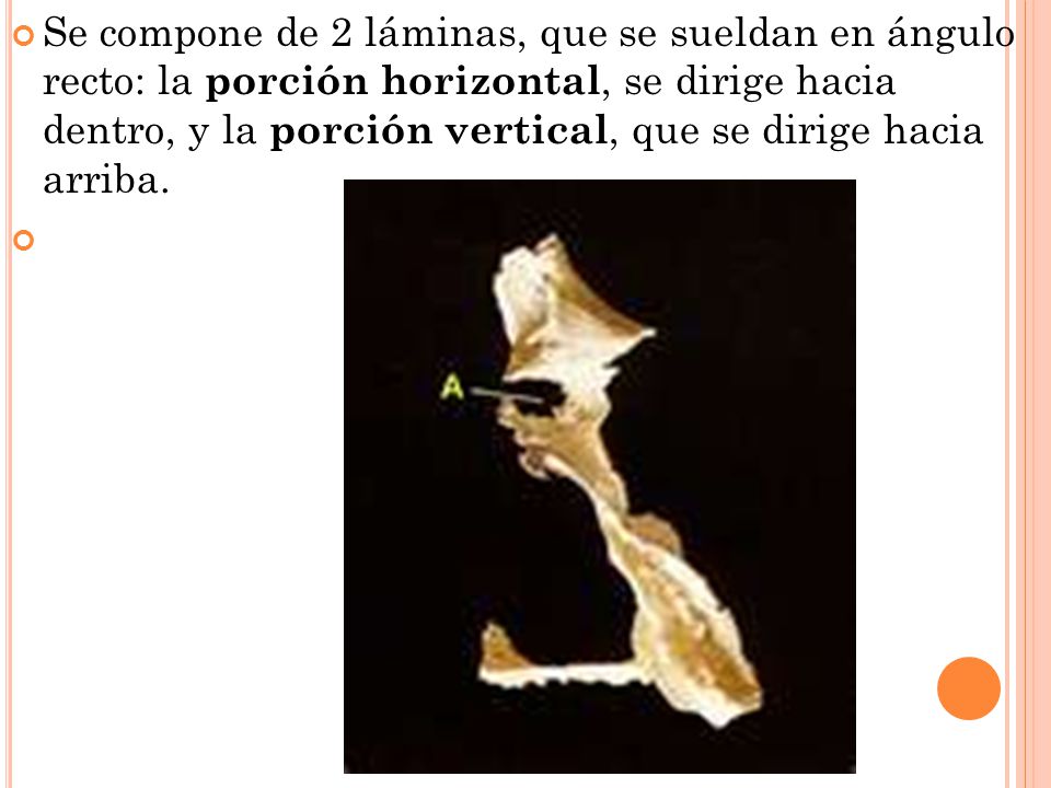 Se compone de 2 láminas, que se sueldan en ángulo recto: la porción horizontal, se dirige hacia dentro, y la porción vertical, que se dirige hacia arriba.