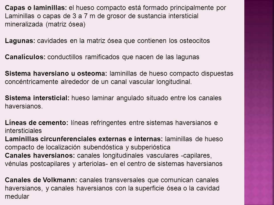 Capas o laminillas: el hueso compacto está formado principalmente por Laminillas o capas de 3 a 7 m de grosor de sustancia intersticial mineralizada (matriz ósea)