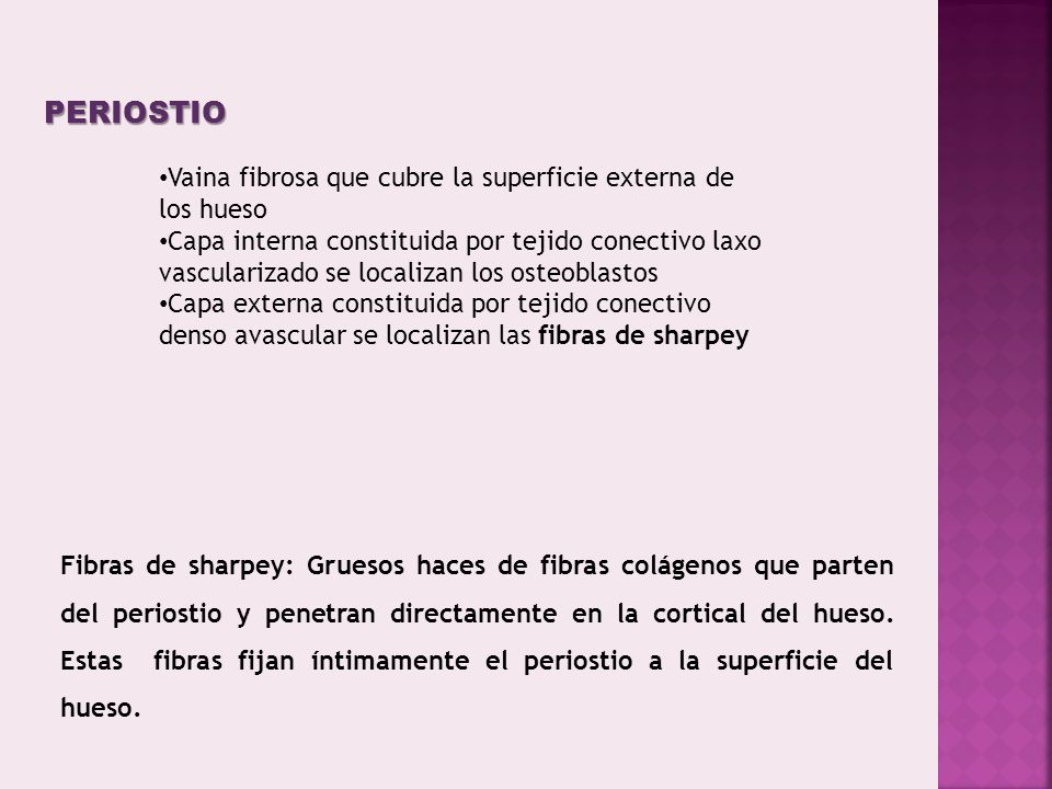 PERIOSTIO Vaina fibrosa que cubre la superficie externa de los hueso