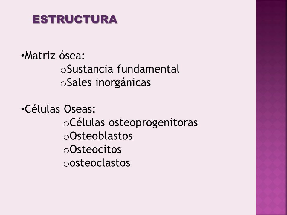 ESTRUCTURA Matriz ósea: Sustancia fundamental. Sales inorgánicas. Células Oseas: Células osteoprogenitoras.