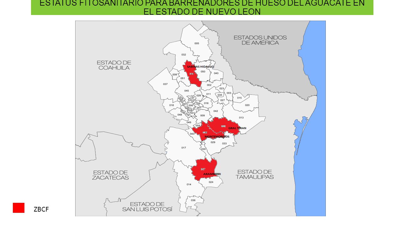 ESTATUS FITOSANITARIO PARA BARRENADORES DE HUESO DEL AGUACATE EN EL ESTADO DE NUEVO LEON