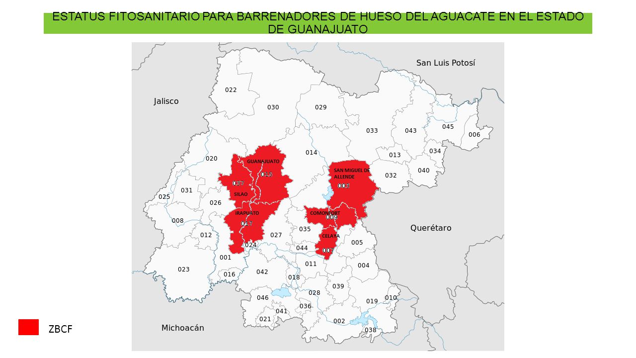 ESTATUS FITOSANITARIO PARA BARRENADORES DE HUESO DEL AGUACATE EN EL ESTADO DE GUANAJUATO