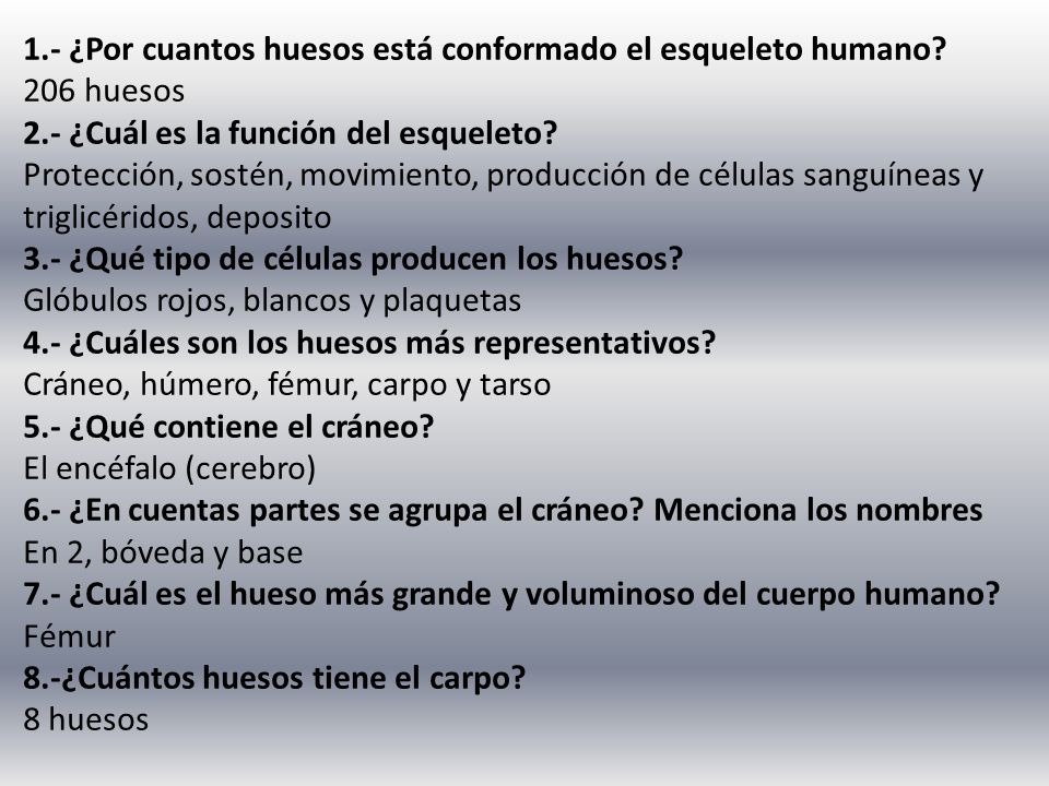 1.- ¿Por cuantos huesos está conformado el esqueleto humano