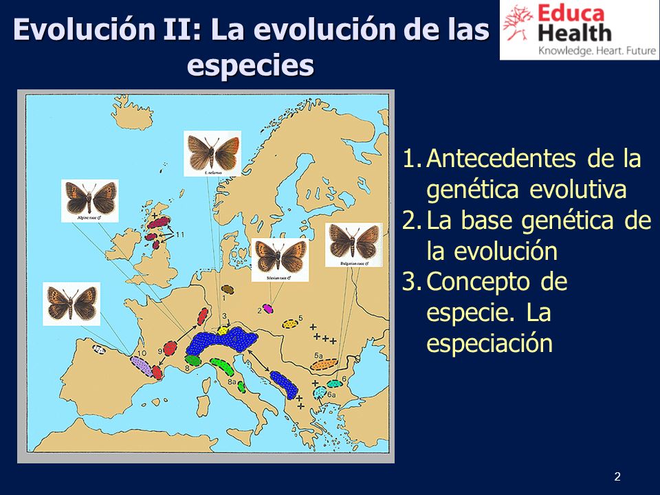 Evolución II: La evolución de las especies