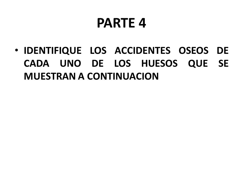 PARTE 4 IDENTIFIQUE LOS ACCIDENTES OSEOS DE CADA UNO DE LOS HUESOS QUE SE MUESTRAN A CONTINUACION