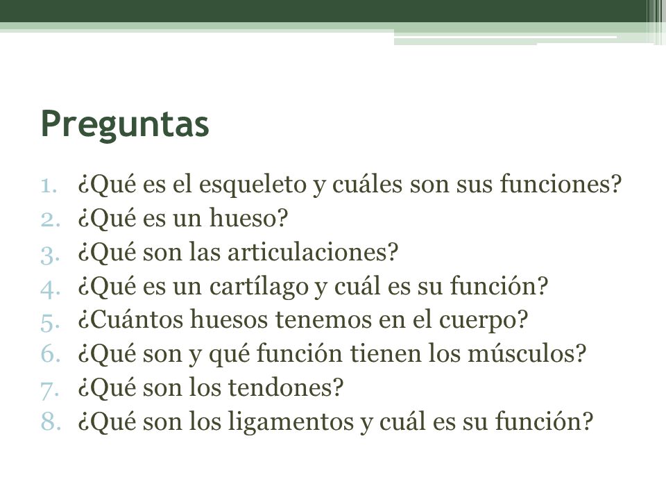Preguntas ¿Qué es el esqueleto y cuáles son sus funciones