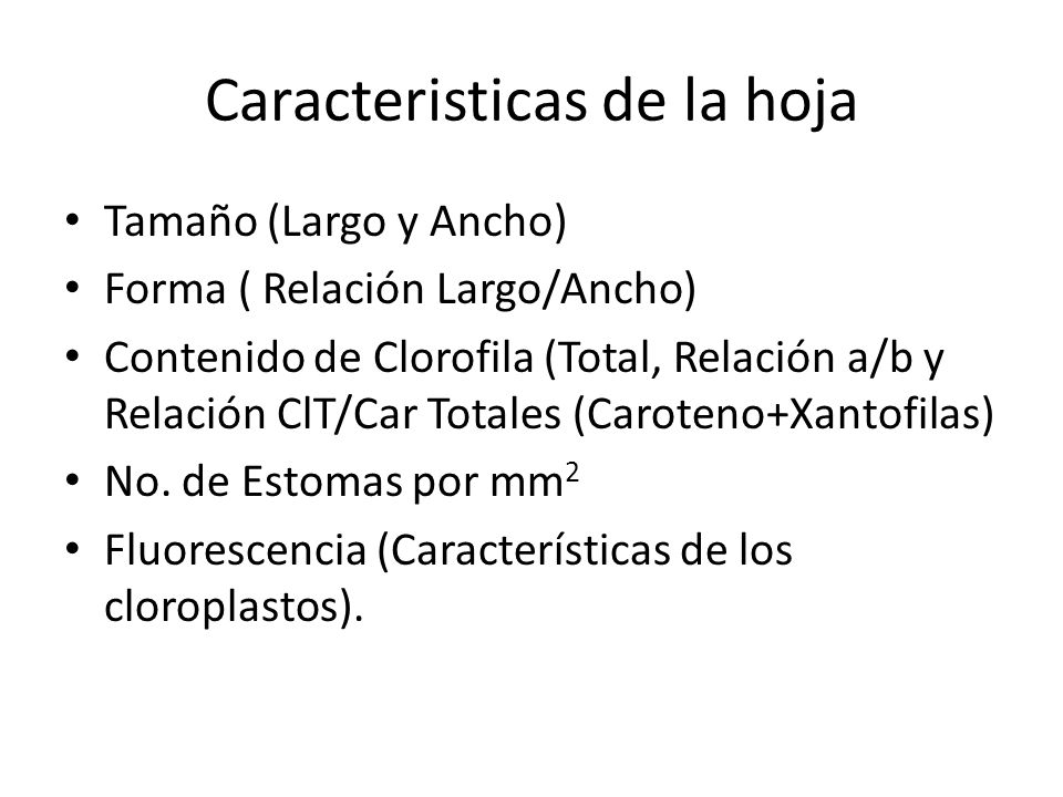 Caracteristicas de la hoja