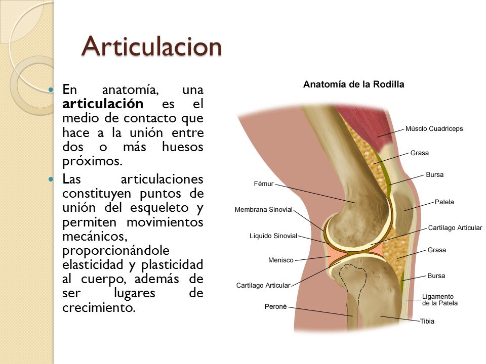 Articulacion En anatomía, una articulación es el medio de contacto que hace a la unión entre dos o más huesos próximos.