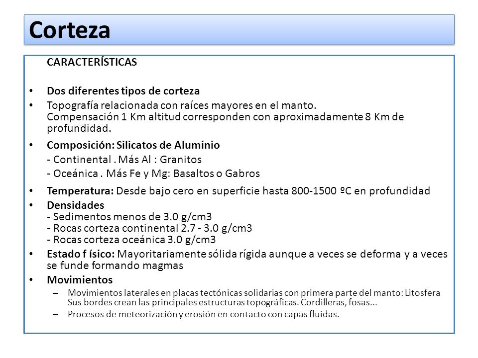 Corteza CARACTERÍSTICAS Dos diferentes tipos de corteza